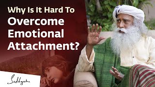 Why Is It Hard To Overcome Emotional Attachment  Sadhguru [upl. by Yessak]