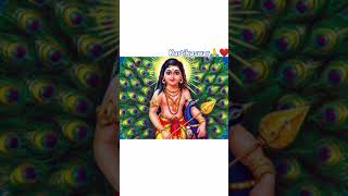 Kartikswarkartiktakura songviral godofhinduism traditional viralshort trendingshorts song [upl. by Nyrat]