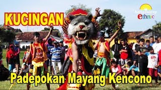 KUCINGAN PADEPOKAN MAYANG KENCONO SINGOTRUNAN LIVE KANDANG DEWE [upl. by Elleunamme881]