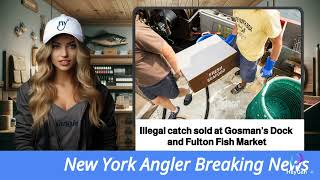 Shocking Verdict Montauk Fisherman Faces 30 Months [upl. by Eahsed453]