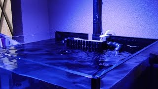 HOW TO SET UP AND INSTALL SC AQUARIUM 45G PNP SALTWATER NANO REEF TANK BUILD [upl. by Domella]