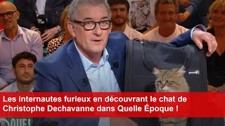 Les internautes furieux en découvrant le chat de Christophe Dechavanne dans Quelle Époque [upl. by Sihtnyc]