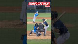 Framing Gone Wrong Catcher tries to frame a pitch it cost him Baseball ⚾️ Life MA2tv MILB [upl. by Conan]