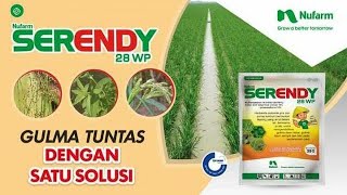 CARA APLIKASI HERBISIDA SERENDY 28 WP YANG BAIK amp BENAR  Nufarm Indonesia [upl. by Candie638]