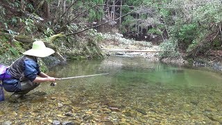 Japanese Mountain Stream Lure Fishing [upl. by Ennaid]