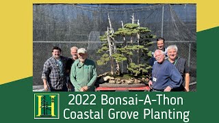 2022 BonsaiAThon  Coastal Grove Planting Presented by Ted Matson [upl. by Roley]