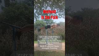 Workout in the Park Favorite Calisthenicsfitnesspark calisthenics [upl. by Goldarina]