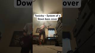 Toxicity  System of a Down bass cover [upl. by Nashner]