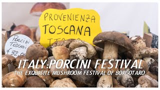 Italy Porcini Festival The exquisite mushroom festival of Borgotaro Borgo Val di Taro [upl. by Hennessy]