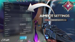 THE SECRET AIMBOT SETTINGS IN VALORANT [upl. by Flan]