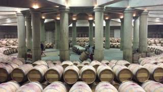 The amazing barrel cellar of Chateau Lafite Rothschild [upl. by Theurich]