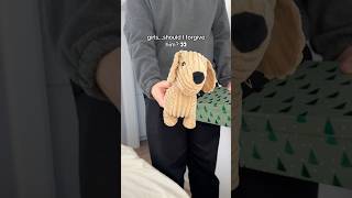 Dachshund owners should I forgive him🥹🐾 dachshund gift slippers [upl. by Atiuqa]