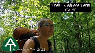 Appalachian Trail 2022 Week 8 Day 51 Trail to Alpaca Farm [upl. by Lukasz42]