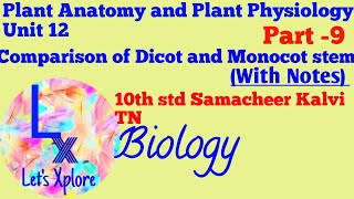 Difference between Dicot and Monocot Stem Unit12 10std Biology Plant AnatomySamacheer Kalvi TN [upl. by Alice215]