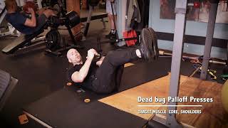 Dead bug Palloff Presses [upl. by Atsirc]