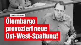 ÖlEmbargo provoziert neue OstWestSpaltung [upl. by Anhavas]