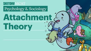 Attachment Theory Explained Psychology [upl. by Salita]