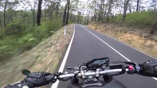 Yamaha FZ09MT09 Fast Mountain Ride  Reefton Spur  2016  GoPro Hero 4 Black [upl. by Floridia]