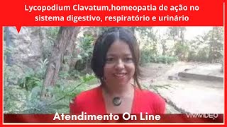 Lycopodium Clavatumhomeopatia de ação no sistema digestivo respiratório e urinário [upl. by Salocin]