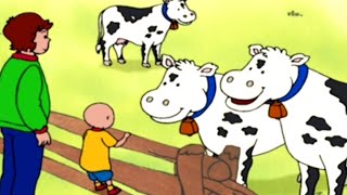 Caillou em Português ★ Episódios Completos ★ Caillou e os cachorrinhos ★ Desenho Animado ★ [upl. by Harahs658]