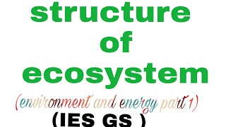 ECOSYSTEM BIOTIC ABIOTICstructure of ecosystem IES GS  environment and energy part1 [upl. by Lizette]