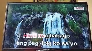 38638 Ikaw Lamang By Willie Garte PLATiNUM Karaoke Reyna SE Song Request [upl. by Eimot9]