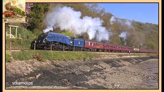 60007 Sir Nigel Gresley at Speed in South Devon 19th April 2014 [upl. by Grimona278]