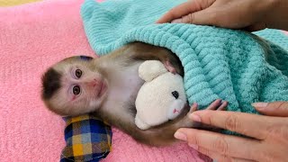 Tina was bathed and given special care by her mother after a day of work [upl. by Tirrej]