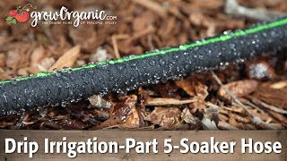 The Easiest Drip Irrigation Installation Ever  Step By Step Automatic Watering System For Garden [upl. by Lalage]