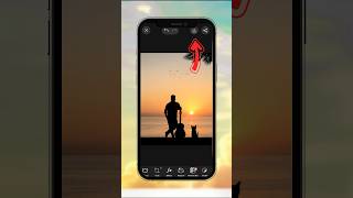 Creative Cat Photo Editing  Picsart Photo Editing 😱 ytshorts shorts [upl. by Deenya]