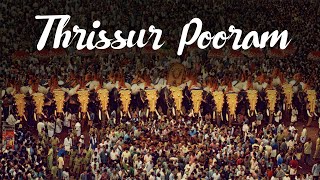 Thrissur Pooram Festival  Kerala Festivals  Pilgrim Tourism  Kerala Tourism [upl. by Lathrope517]