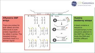 SNP Genotyping Technologies [upl. by Robb]