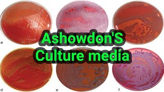 Ashdowns Agar or Burkholderia selective media Culture media lecture 37 [upl. by Gluck]