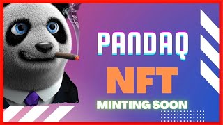 PandaQ NFT  Upcoming NFT Project 2024  Gain Massive Income 100X [upl. by Hidie759]