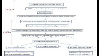 Angiographic 3 Dimensional Antegrade Puncture Technique ADAPT wiring  my best effort to explain it [upl. by Atteynod]