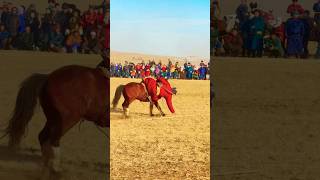 Taliin tumen aduu horse festival  Khentii province Mongolia taliintumenaduu [upl. by Ellinej701]