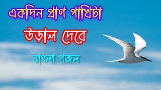 হৃদয় শীতল করা বাংলা গজল।। Ek Din Pranpakhi Uraldebe  Bangla Gojol একদিন প্রাণ পাখিটা উড়াল দেবে [upl. by Eelah902]