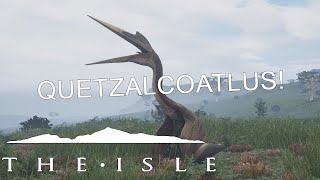 Quetzalcoatlus Calls and Animations  The Isle [upl. by Arakahs591]