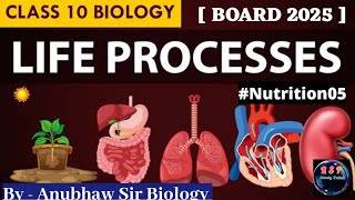 Heterotrophic Nutrition and their types ll Different Mode of nutrition ll Life Processes ll biology [upl. by Neenaej]