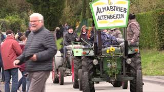 Almabtrieb Altenbeken 2024 [upl. by Ahsenyt176]