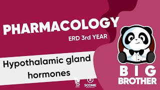 Hypothalamic Gland Hormones [upl. by Nanny829]