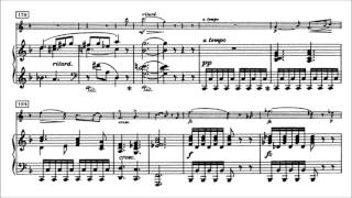 Edvard Grieg  Violin Sonata No 1 Op 8 With score [upl. by Jeanette876]