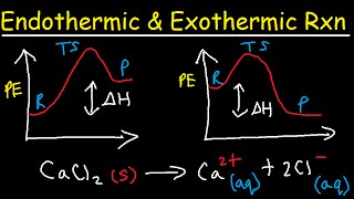 Endothermic and Exothermic Reactions [upl. by Einnos]