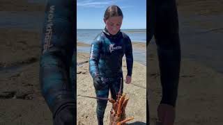 Catching those crays crayfish kaimoana seafood crabs food diving crab outdoors nz ocean [upl. by Lednam]