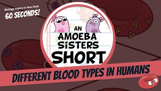 Different Blood Types in Humans  Amoeba Sisters Shorts [upl. by Sumner753]