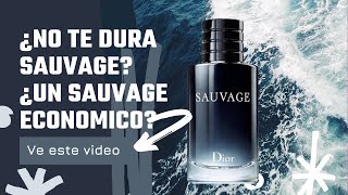 ¿NO TE DURA Dior Sauvage [upl. by Safire]