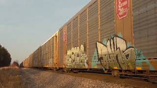 BNSF 5964 West at Murphy Road in Wilmington Illinois [upl. by Eniamrahc]