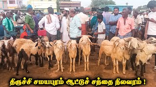 Samayapuram goat market [upl. by Hubbard]