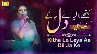 Kithe La Leya Ae Dil Ja Ke  Naseebo Lal  Eagle Stereo  HD Video [upl. by Atnohsal]