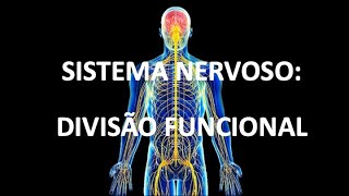 SISTEMA NERVOSO DIVISÃO FUNCIONAL [upl. by Lassiter]